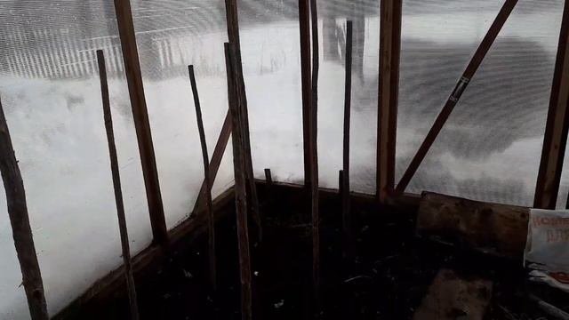 Схема посадки томатов и перца в теплице 3х6