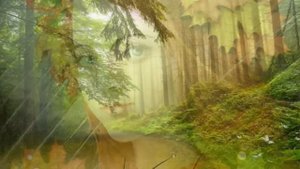 Осень Раскрасавица  Красивая музыкальная открытка видео поздравление