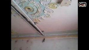 Матовый потолок Разделили комнату деревянной балкой, на две части