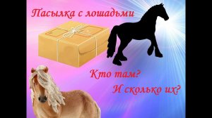 Π Π°ΡΠΏΠ°ΠΊΠΎΠ²ΠΊΠ° Π»ΠΎΡΠ°Π΄Π΅ΠΉ Π¨Π»ΡΠΉΡ
.