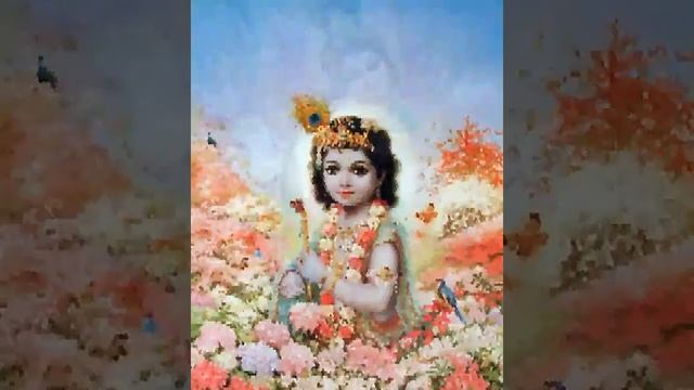 Jai Radha Madhav смотреть онлайн