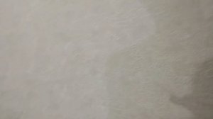 Сет перчаток Fossil и 3 ножей.