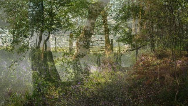 Bach J.S. Fuga in G minor BWV 578-VARIATION-REMIX.avi смотреть онлайн