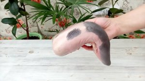 ЯЗЫК ГОВЯЖИЙ! ТАКОГО ВЫ ЕЩЁ НЕ ГОТОВИЛИ! УЗБЕКСКАЯ КУХНЯ
