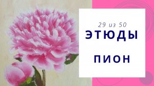 29. Как нарисовать пион гуашью. Серия видео «50 этюдов»