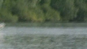 Катер Беркут 430