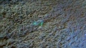 Выявление пятен в ультрафиолете