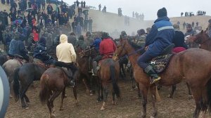 Купкари 03 02 2024