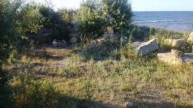 На берегу моря в Крыму, есть древний город, называется "Маслины".