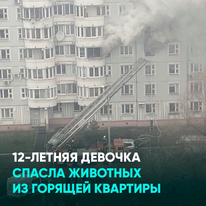 Девочка спасла из пожара. Девочка спасла детей из горящего дома. пьер спас девочку из пожара.