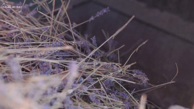 Lavender Harvest & Homemade Oil Distillation смотреть онлайн