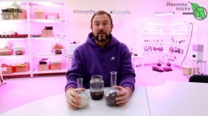 ЖИВАЯ ВОДА ДЛЯ РАССАДЫ. Остановит вытягивание и напитает силой! Совершенно БЕСПЛАТНОЕ средство!