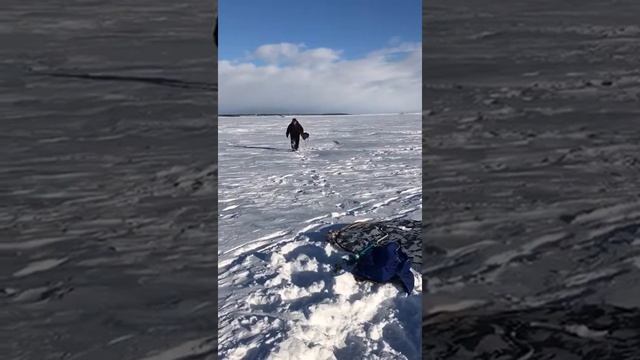 Как сложить зимнюю палатку. смотреть онлайн