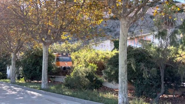 ??Испания, пальмы, попугаи, пляж для собак Spain, Costa Brava, Calella HOLIDAY 2022 смотреть онлайн