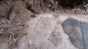 Использование ферментированной подстилки из курятника в саду и огороде!