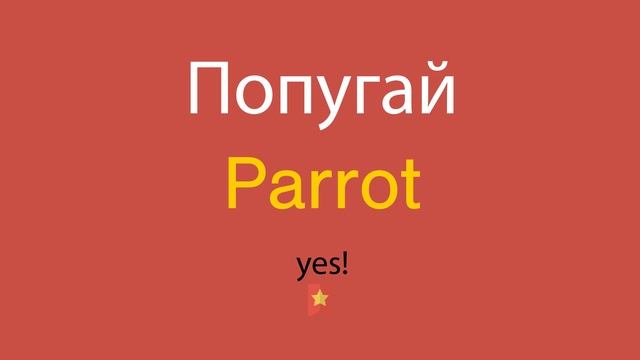 Попугай по-английски