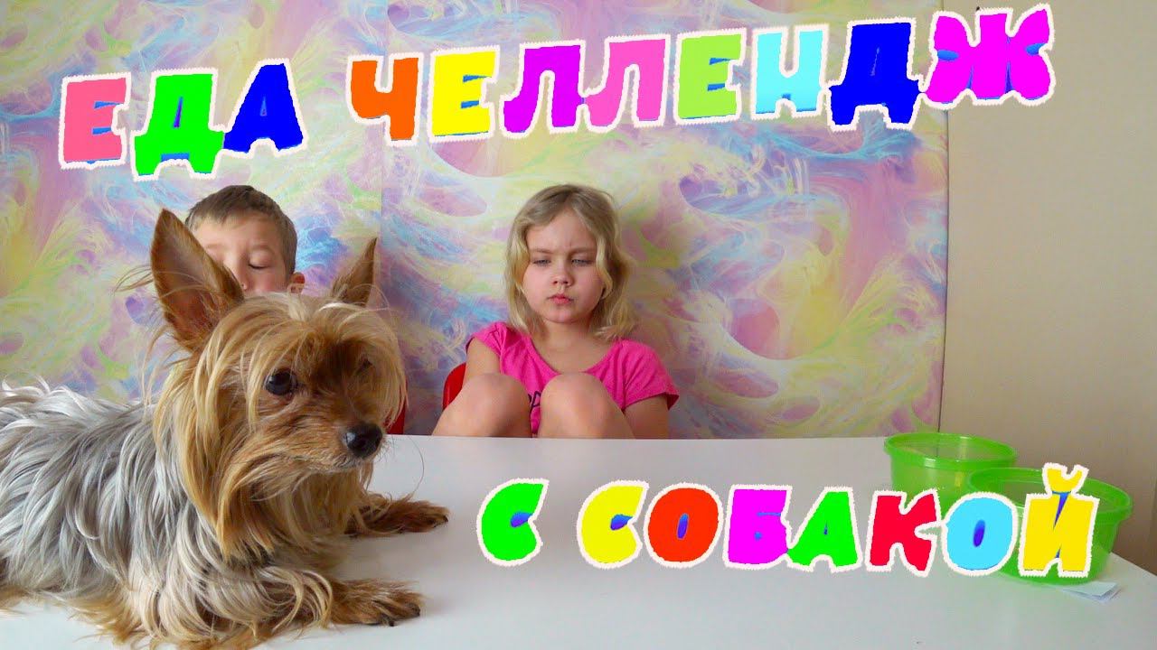 Степа и Ксюша  пробуют еду которая выберет собака ЛИЗА...