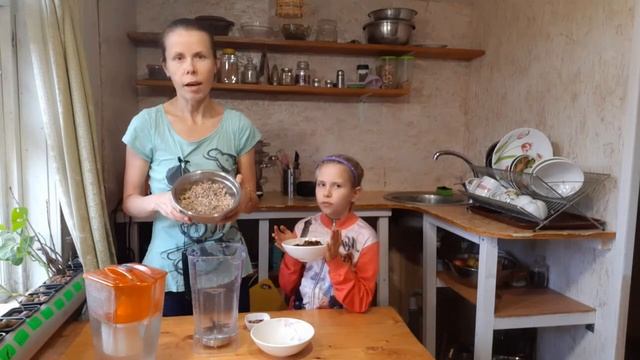 Молоко из семечек подсолнуха смотреть онлайн