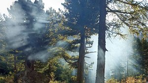 Поход 2024, Мульта, 1 ч 17 мин