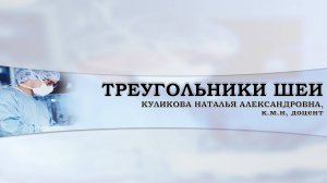 1. ТРЕУГОЛЬНИКИ ШЕИ