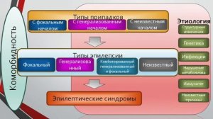 К.Б. Манышева "Эпилепсия и пароксизмальные состояния"