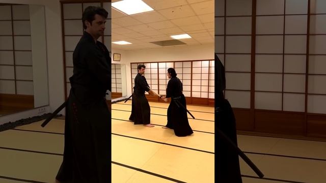 Schwertkampf in Köln - Mugai Ryu Kenjutsu - Surikomi