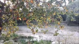 Ессентуки река Подкумок