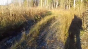 Vlog; заброшенный лагерь под д. Буньково