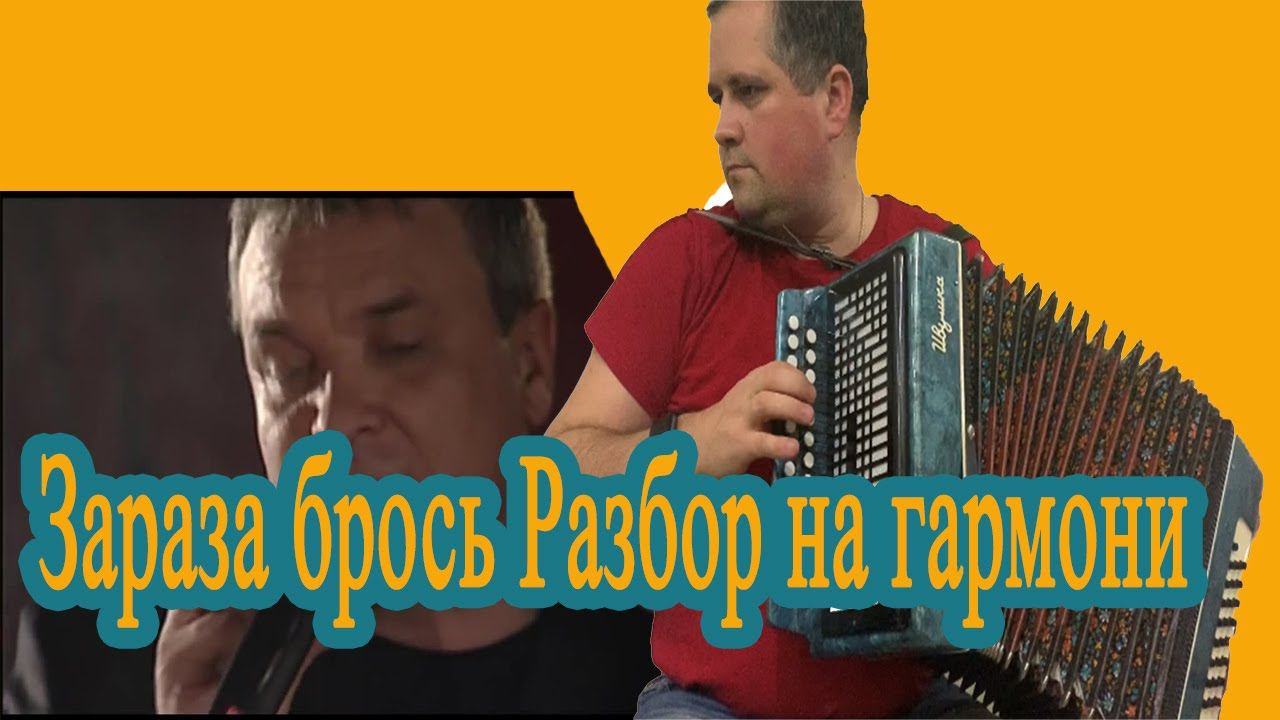 Зараза брось // Разбор на гармони