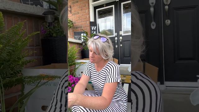 2022 introduction samples from Darwin Perennials have arrived смотреть онлайн