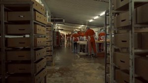 Ферма семьи Лычкиных