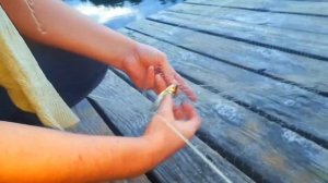 Паук рыболовный | ловим плотву на подъёмник рыболовный