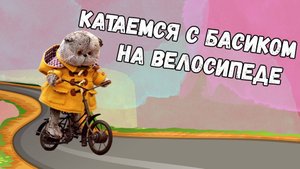 Катаемся с басиком на велосипеде 🚲