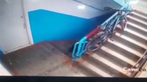 В Навои мужчина застрелил собаку на глазах у детей