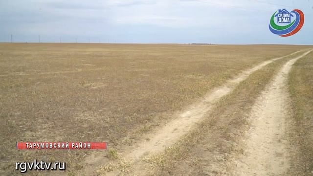 В Дагестане проводятся работы работы по недопущению распространения саранчовых смотреть онлайн