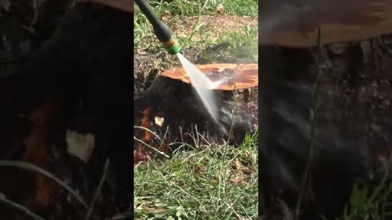 Вчера решил избавиться от пня на участке, видео сделаю сегодня Hot to remove tree stump смотреть онлайн
