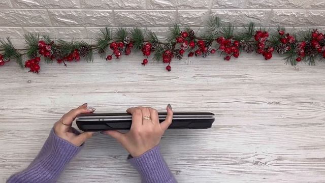 Ноутбук Acer 2920 Артикул A9533 смотреть онлайн