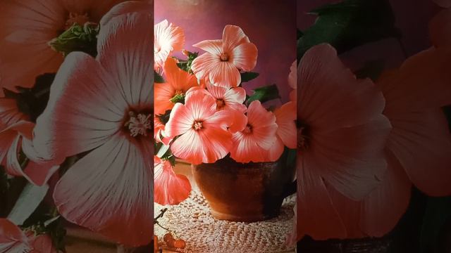 ДРАГОЦЕННОЕ ЕВАНГЕЛИЕ ХРИСТА. Ассаф Жорж. смотреть онлайн