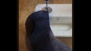 Шитье. Построение и пошив воротника жабо