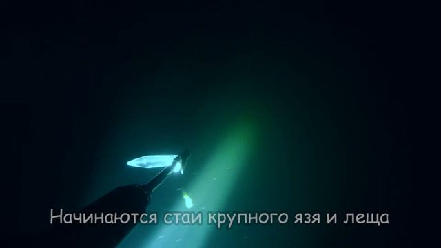 Подводная охота на судака, с катера в Новосибирске