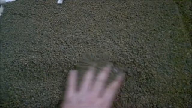 сухая стяжка из керамзита