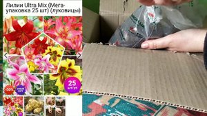 Распаковка. Лилии💮