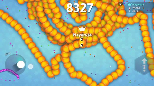 8000?????