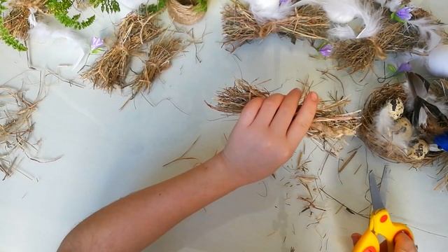 Пасхальный топиарий из настоящих яиц!