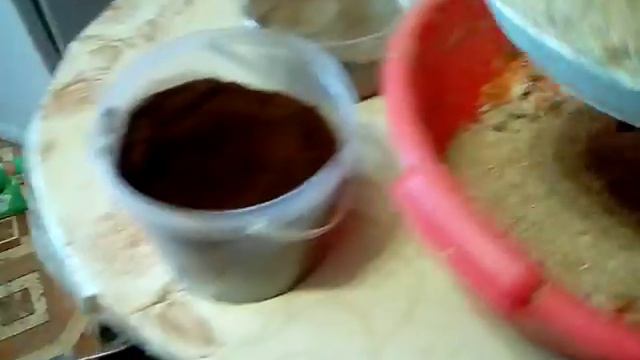 Кормление кур зимой. Мешанка.