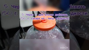 Любимый рецепт виноградного вина