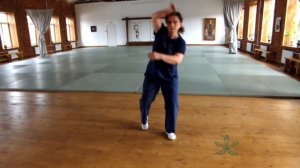 Фланкировка шашками в Питере