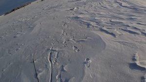 Зимняя рыбалка в Канаде. Озеро в лесу. Часть вторая