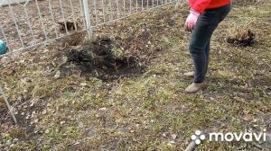 21.03 мы работаем второй день на территории