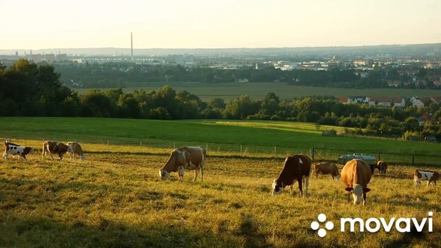 Красивая ирландская музыка для поднятия настроения 2
